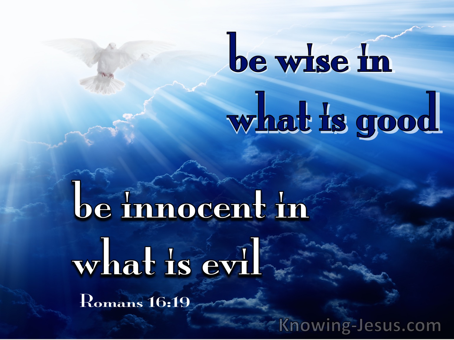 What Does Romans 16 19 Mean what-does-romans-16-19-mean